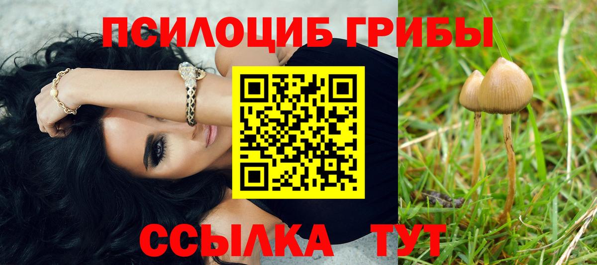 Сердобск  Галлюциногенные грибы Psilocybe  Вход с VPN 