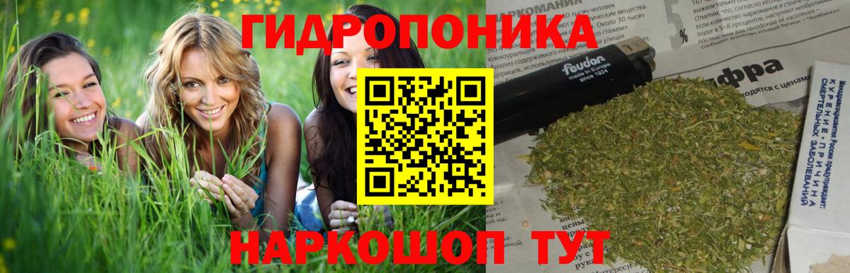 Бошки марихуана конопля  Вход с VPN  Бошки Шишки Amnesia  Сердобск 